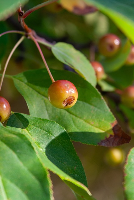 追分狂潮太刺激了